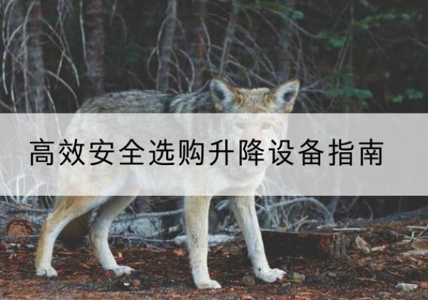 崇明区升降货梯厂家推荐-*安全选购升降设备指南
