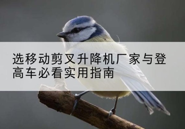 崇明区电动升降机厂家-选移动剪叉升降机厂家与登高车必看实用指南